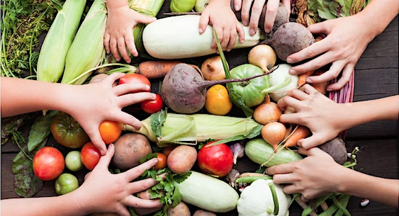 Food education and Sustainability